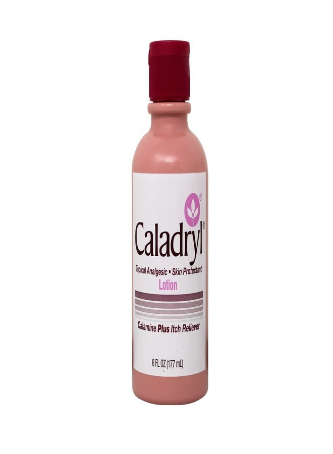Caladryl Lotion Plus Itch Reliever 6 Fl Oz 3 Pack Deal - Image 2